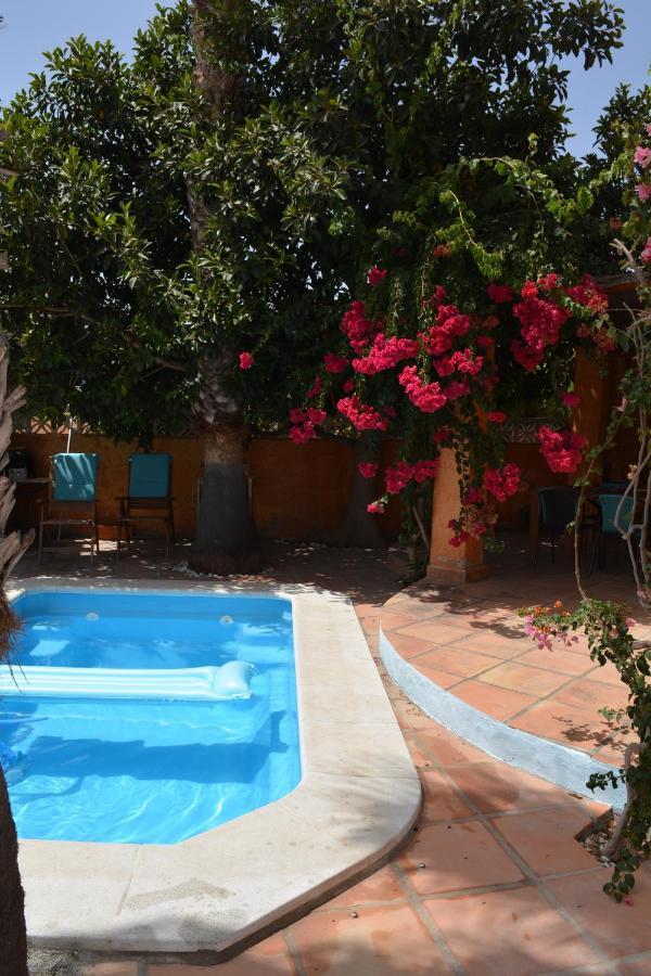Apartamento Con Jacuzzi Y Terraza Con Opcion A Piscina Privada Almunecar Bagian luar foto